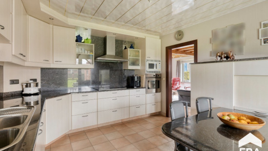 Blankenbergse Steenweg - 0 - - 8000