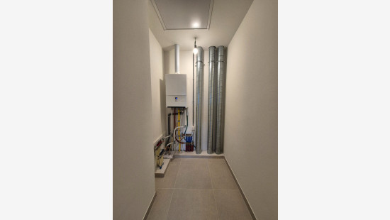 Begoniapark - 12 - B - 8954