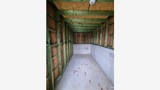 Begoniapark - 12 - B - 8954