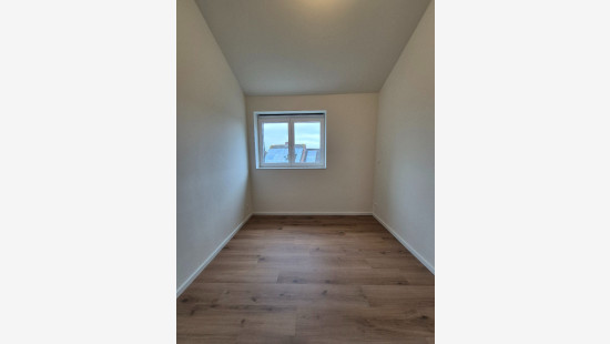 Begoniapark - 12 - B - 8954