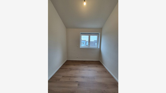 Begoniapark - 12 - B - 8954