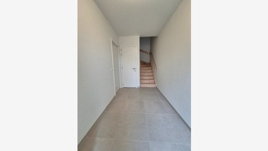 Begoniapark - 12 - B - 8954