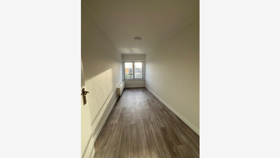 Kuringersteenweg - 300 - - 3500