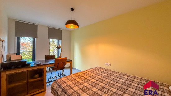 Nieuwenhuyzen - 42 - - 3800