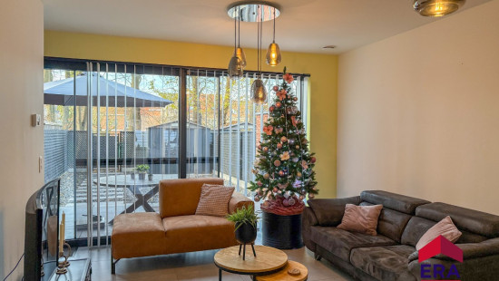 Nieuwenhuyzen - 42 - - 3800