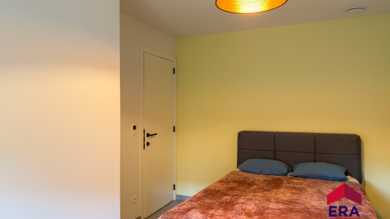 Nieuwenhuyzen - 42 - - 3800