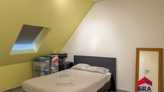 Nieuwenhuyzen - 42 - - 3800