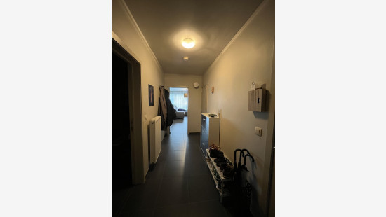 Allerheiligenberg - 21 - A - 3290