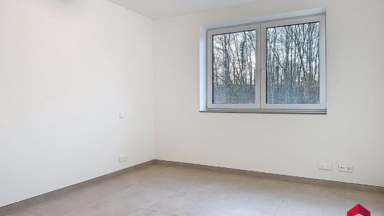 Rue de la Justice - 79 - B12 - 5300