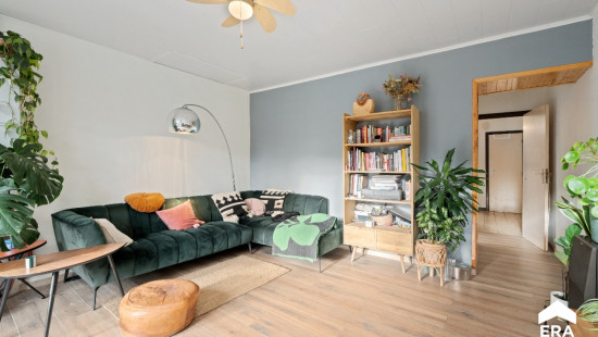 Pastorijstraat - 55 - - 3300