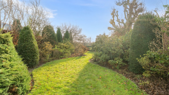 Nieuwstraat - 142 - - 8792