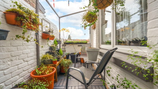 Rue de la Démocratie - 94 - - 4102