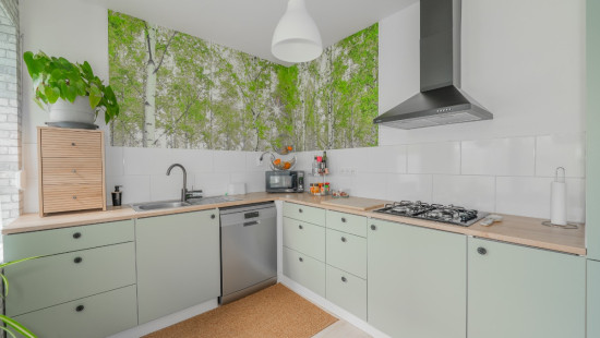 Rue de la Démocratie - 94 - - 4102