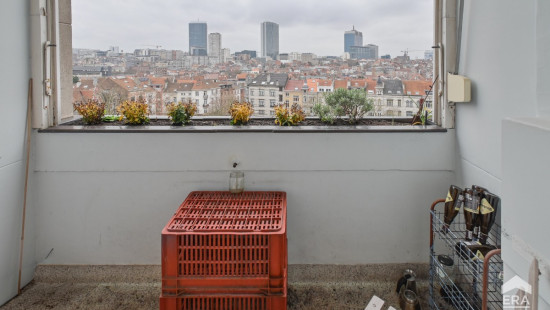 Armand Steurssquare - 24 - 6 - 1210