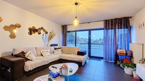 Rue de Ciney - 173 - 1 - 5350