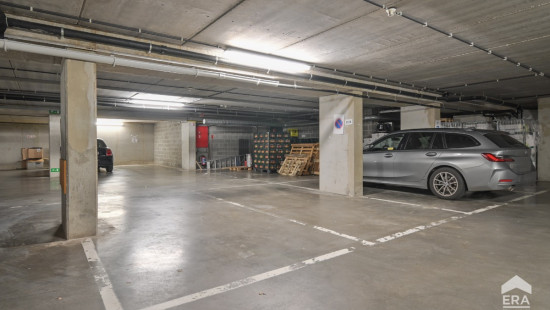 Rue Léopold - 7 - B3 - 1000