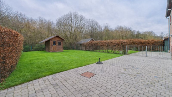 Happe - 8 - B - 5590