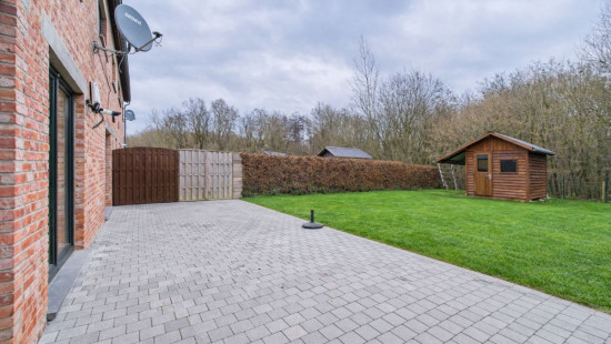 Happe - 8 - B - 5590