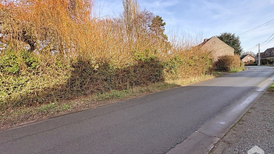 rue des Panottes - 58 - - 7830