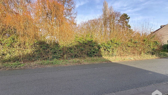 rue des Panottes - 58 - - 7830