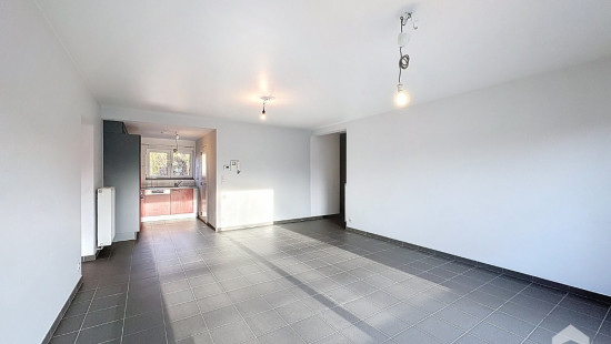 Ruelle Brogniez - 7 - B25 - 7060