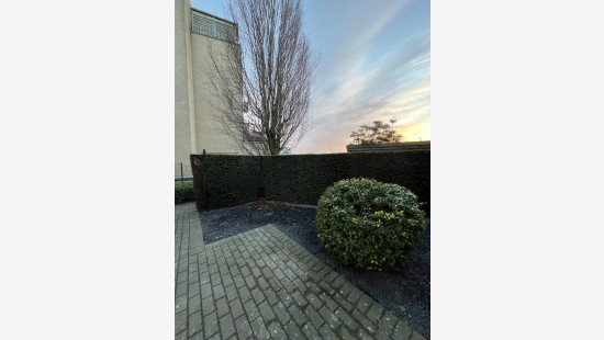 Westerlaan - 31 - 2 - 8790