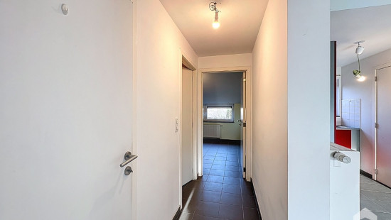 Ruelle Brogniez - 7 - B25 - 7060