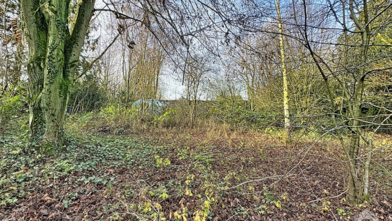 Rue de Bois-Seigneur-Isaac - 80 - - 1420