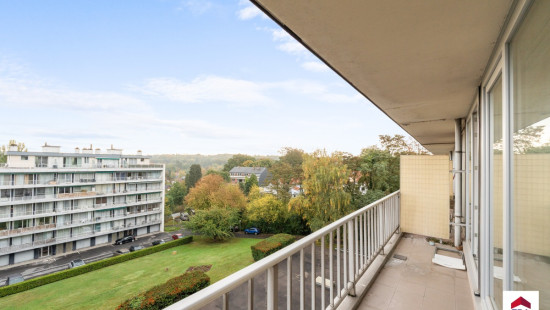 Steenweg op Alsemberg - 93 - 28 - 1630