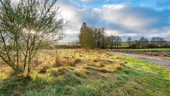 A la fange du Meunier - 0 - - 6642