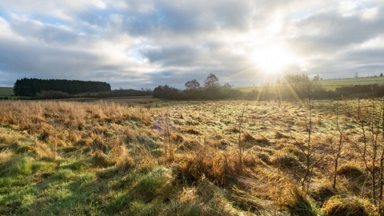 A la fange du Meunier - 0 - - 6642