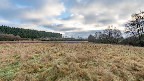 A la fange du Meunier - 0 - - 6642