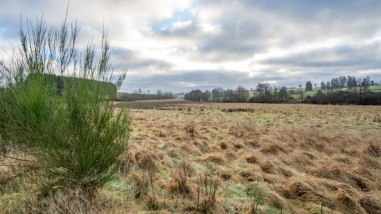 A la fange du Meunier - 0 - - 6642