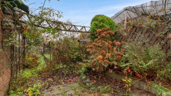 Molenstraat - 176 - - 9150