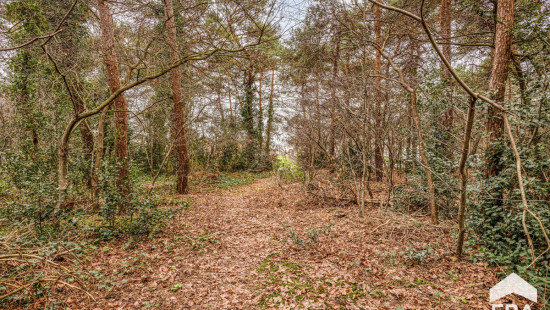 Sint-Pieterstraat - z/n - - 3920