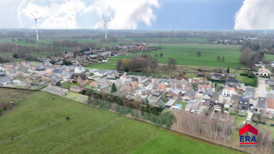 Striepe - 47 - - 9991