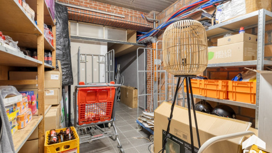 Molsekiezel - 32 - - 3920