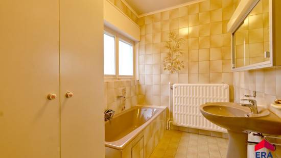 Striepe - 47 - - 9991