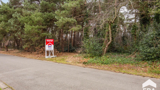 Sint-Pieterstraat - z/n - - 3920