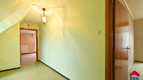 Striepe - 47 - - 9991