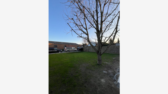 Driekoningenstraat - 7 - - 8790