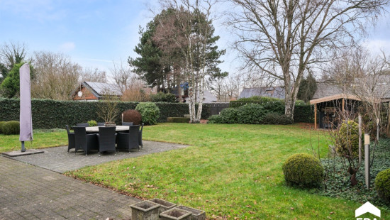 Peter Hanegreefsstraat - 3 - - 3920