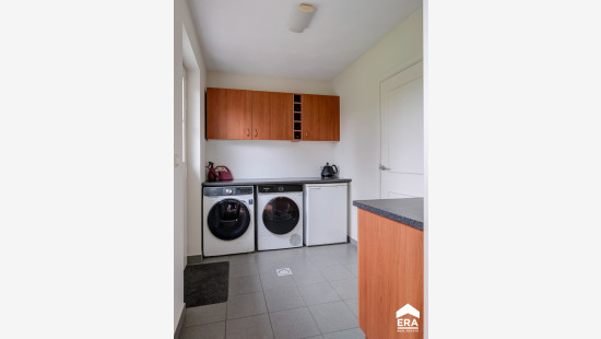 Peter Hanegreefsstraat - 3 - - 3920