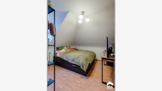 Peter Hanegreefsstraat - 3 - - 3920