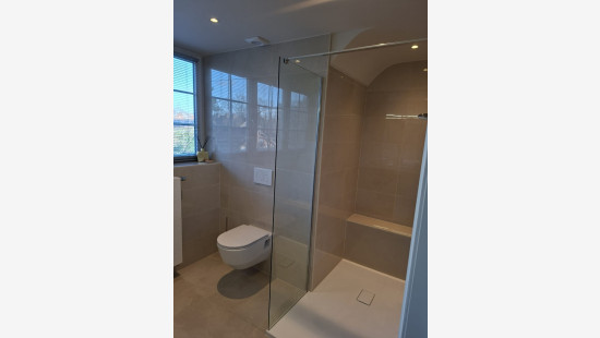 Peter Hanegreefsstraat - 3 - - 3920