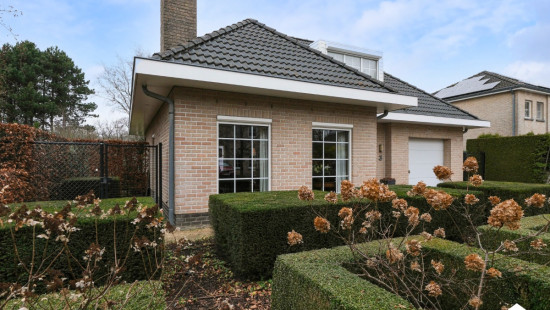 Peter Hanegreefsstraat - 3 - - 3920