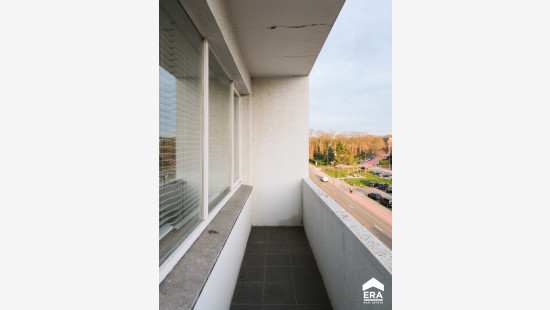 Reinpadstraat - 11 - 8 - 3600