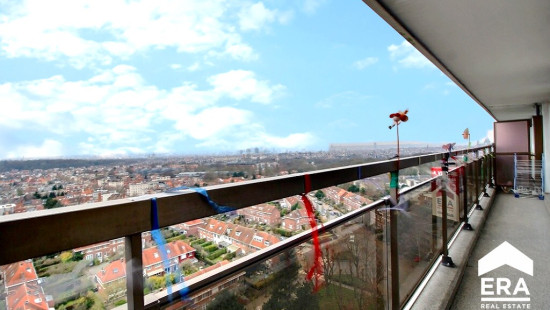 arbre ballon - 20 - 16 - 1090