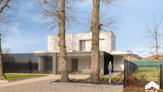 Schamprood - 85 - - 3920