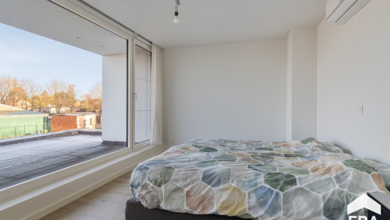 Schamprood - 85 - - 3920